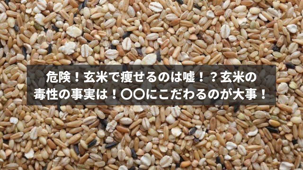 危険！玄米で痩せるのは嘘！？玄米の毒性の事実は！〇〇にこだわるのが大事！アヴニールブログ